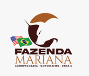 GRUPO FAZENDA MARIANA